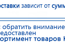 СКЭНАР-1-НТ (исполнение 01)  купить в Москве, Аппараты Скэнар купить в Москве, Скэнар официальный сайт - denasvertebra.ru